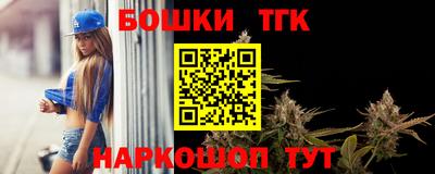 индика Нальчик